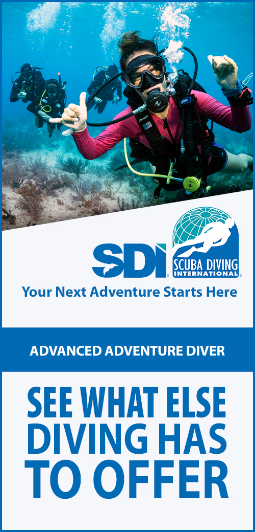 Poster voor de Advanced Adventure Diver Course van SDI, waarin mensen leren duiken in verschillende domeinen van de onderwaterwereld.