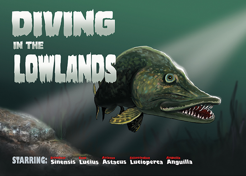 Blog Diving in the Lowlands
